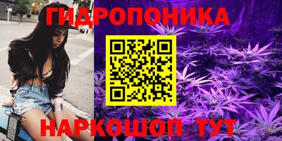ECSTASY Кандалакша