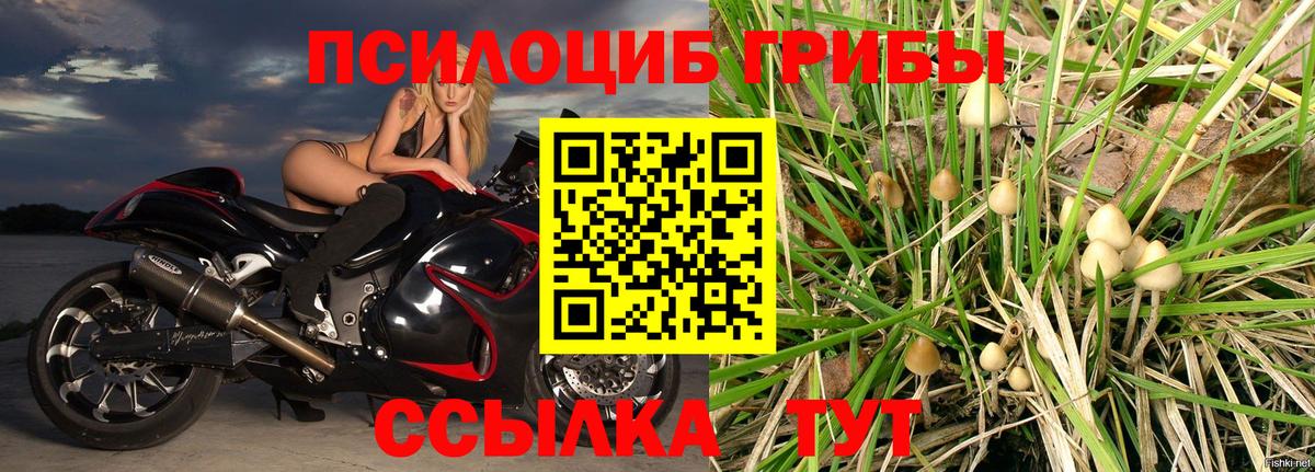 Галлюциногенные грибы Magic Shrooms Лыткарино