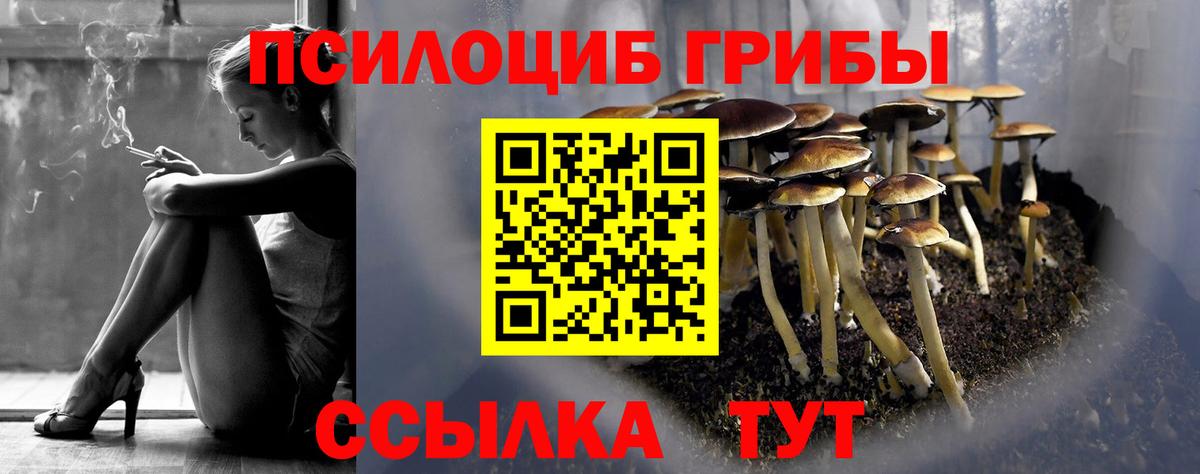Псилоцибиновые грибы Cubensis  Вход с VPN  Лыткарино  Галлюциногенные грибы ЛСД 